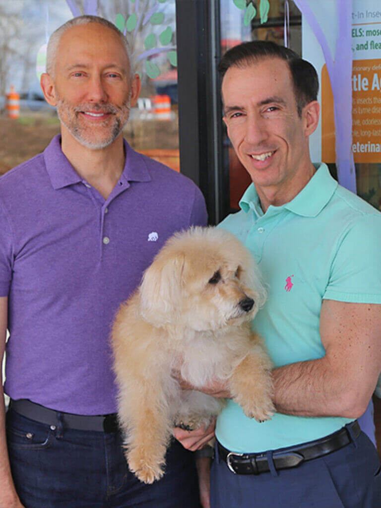 ciao bow wow provided 24 768x1024 1 1